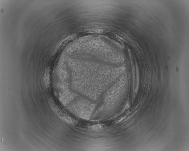 X0000062630600200601181722