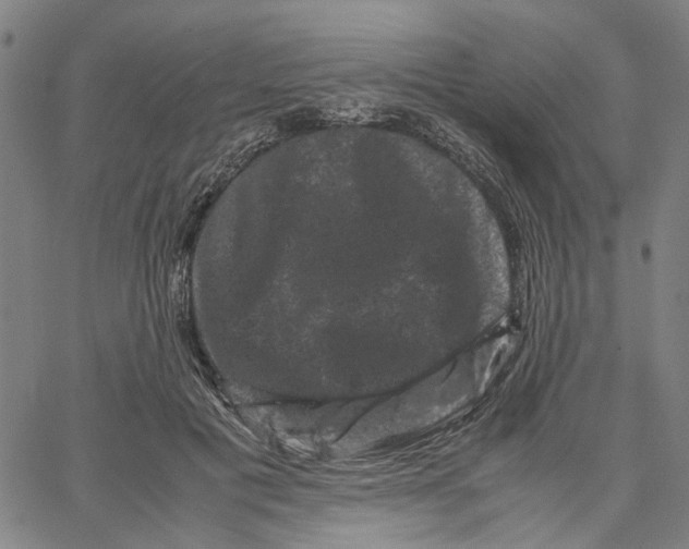 X0000062630601200601181722