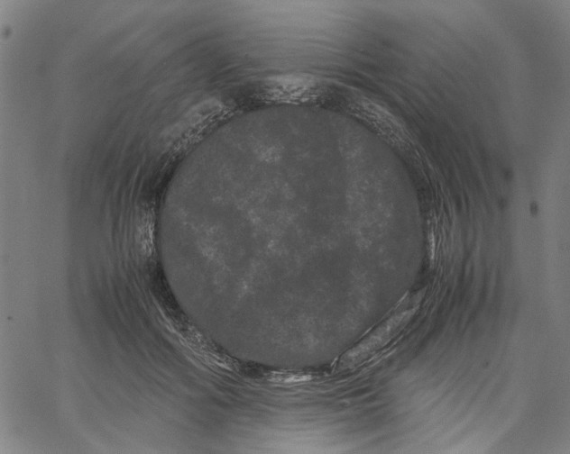 X0000062630602200601181722