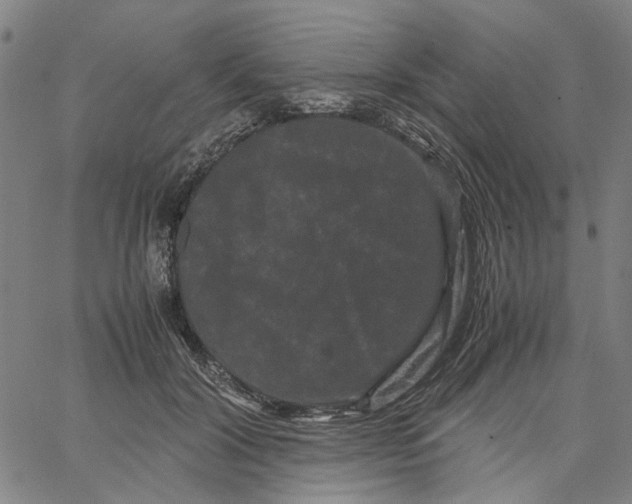 X0000062630604200601181721