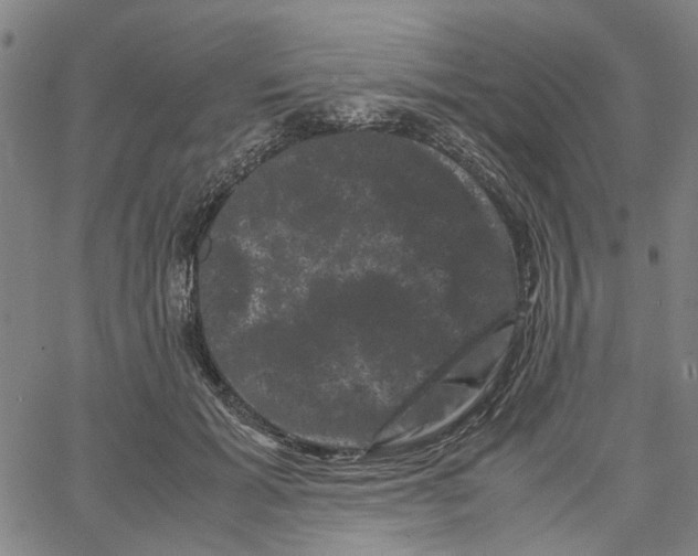 X0000062630605200601181721