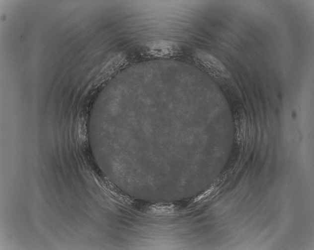 X0000062630606200601181721