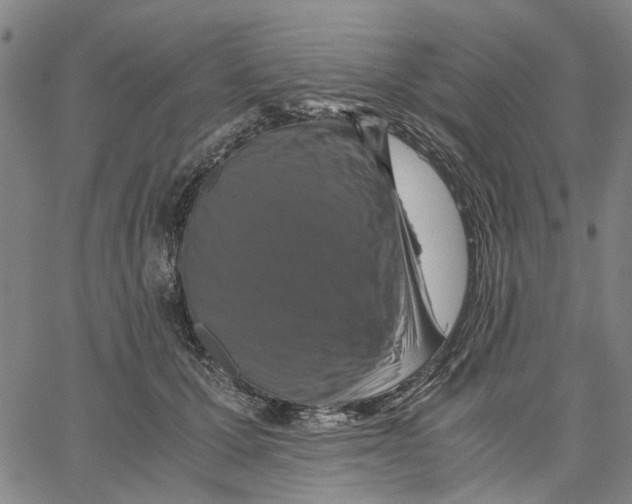 X0000062630607200601181721