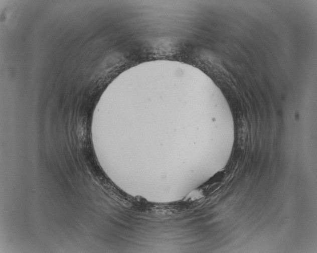 X0000062630608200601181721