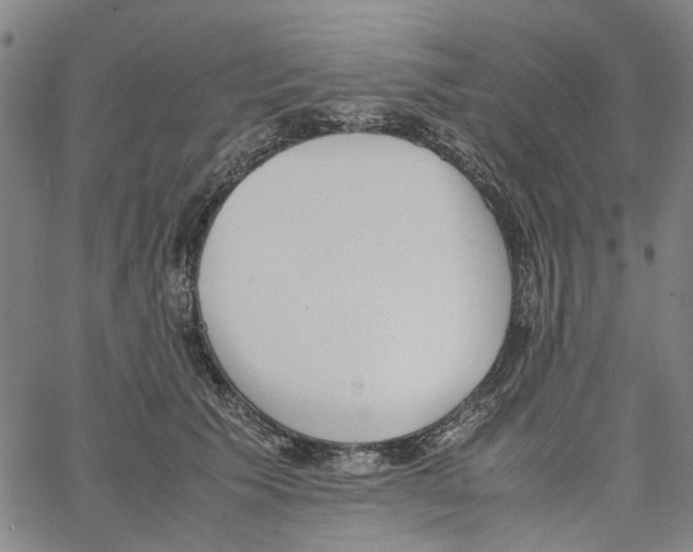 X0000062630609200601181721