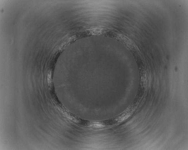 X0000062630610200601181721