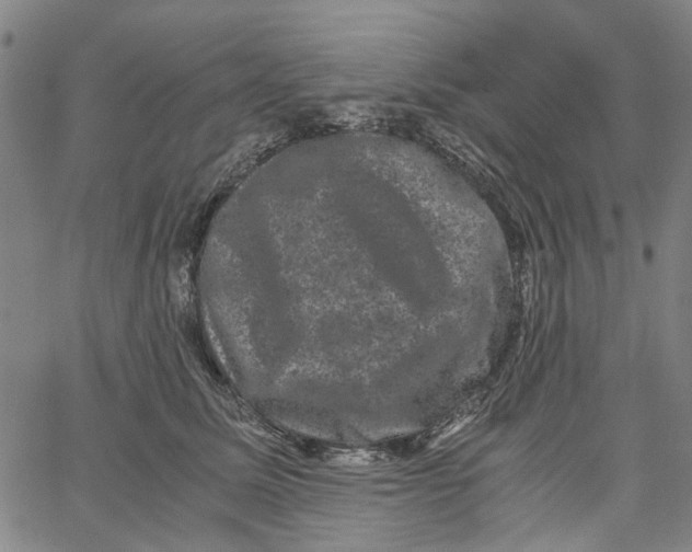 X0000062630611200601181721