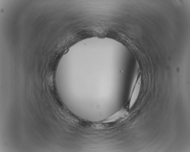 X0000062630613200601181721