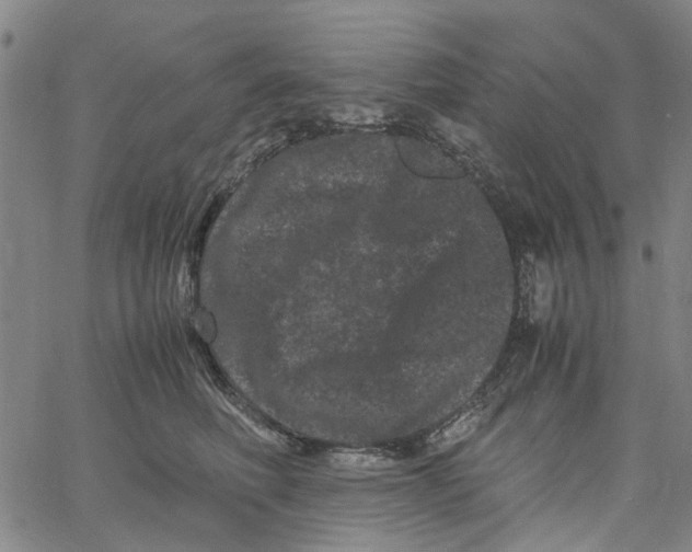 X0000062630614200601181721