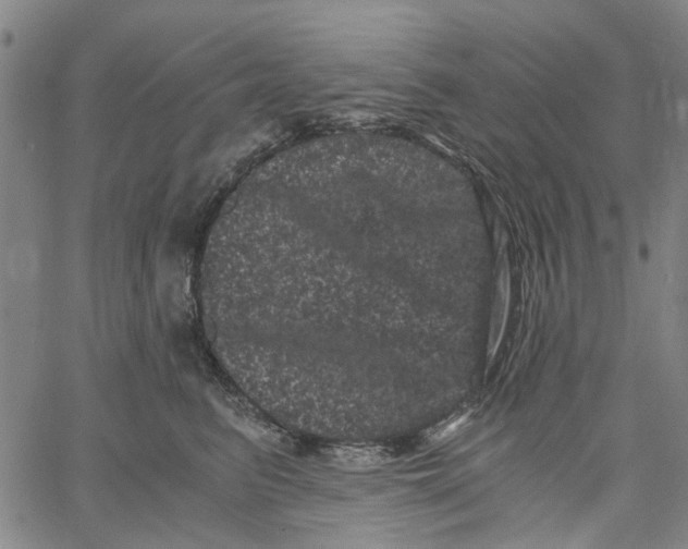 X0000062630615200601181721