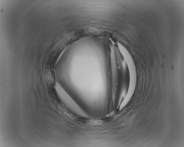 X0000062630617200601181721