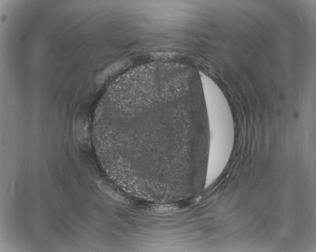 X0000062630619200601181721