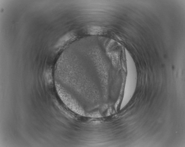 X0000062630620200601181721