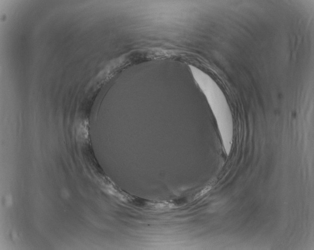 X0000062630621200601181721