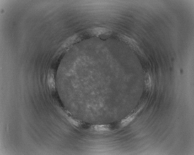 X0000062630622200601181721