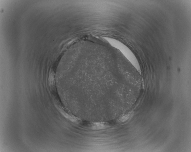 X0000062630623200601181721