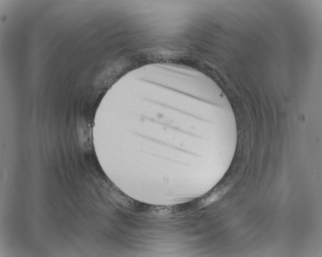 X0000062630624200601181721