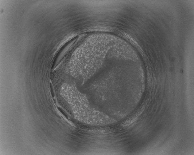 X0000062630625200601181720