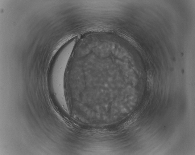 X0000062630626200601181720