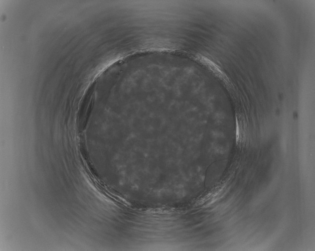 X0000062630627200601181720