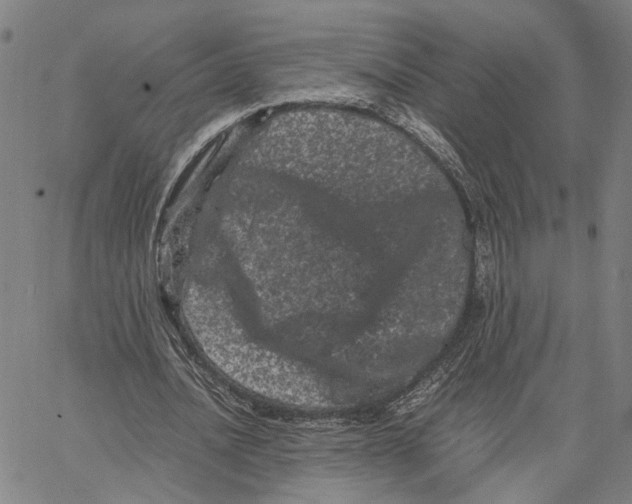 X0000062630628200601181720