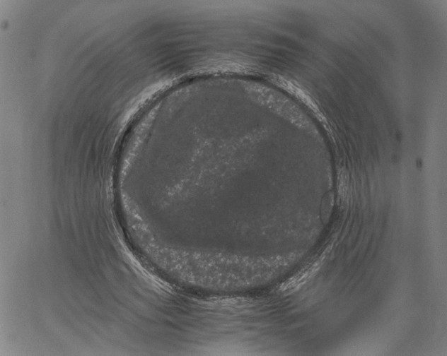 X0000062630629200601181720