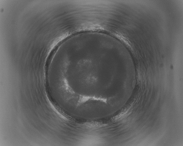 X0000062630630200601181720