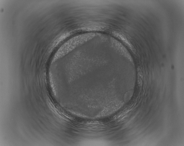 X0000062630631200601181720