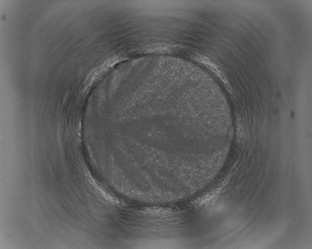 X0000062630633200601181720