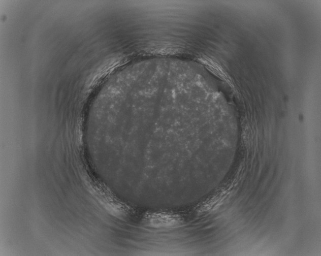 X0000062630635200601181720