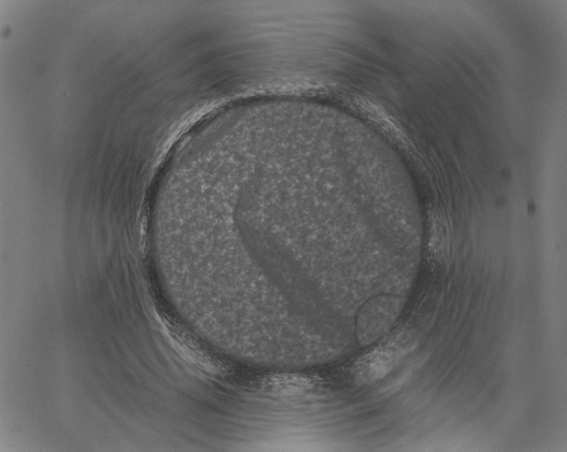 X0000062630636200601181721