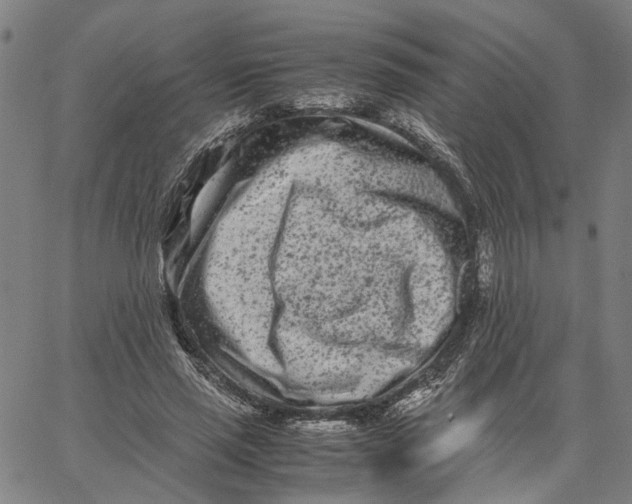 X0000062630637200601181721