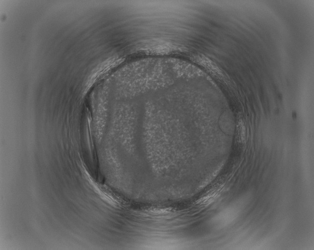 X0000062630638200601181721