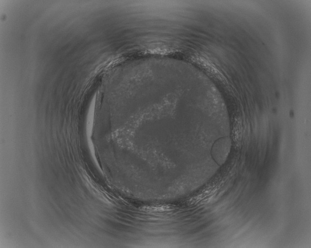 X0000062630639200601181721