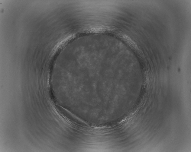 X0000062630640200601181721