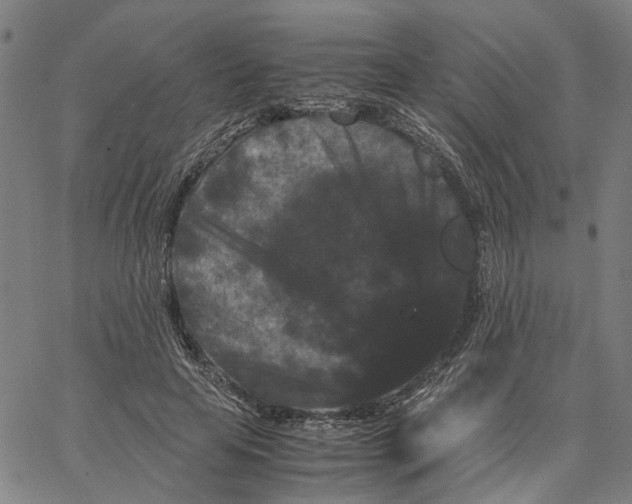 X0000062630641200601181721