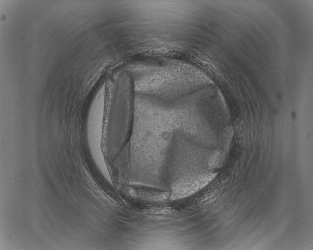 X0000062630642200601181721