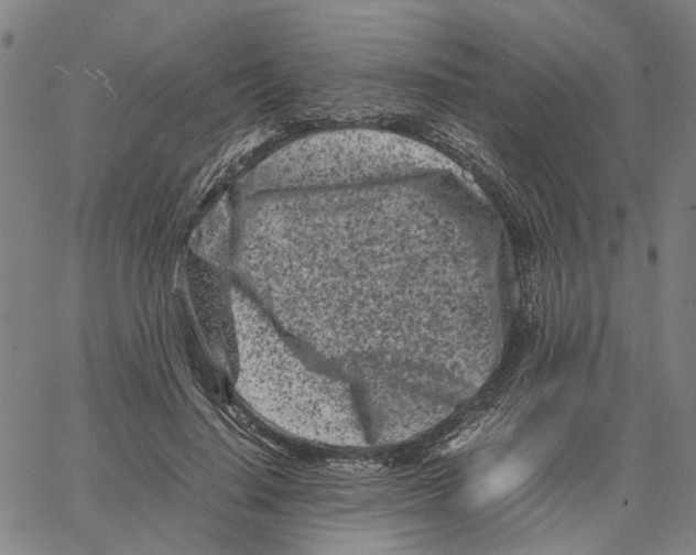 X0000062630644200601181721