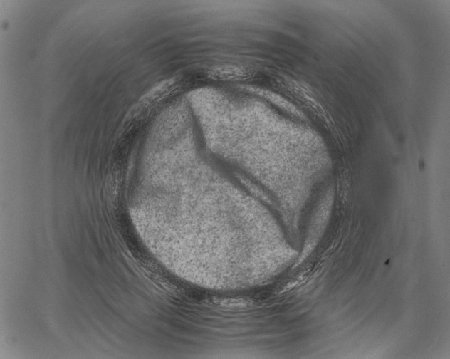 X0000062630645200601181721