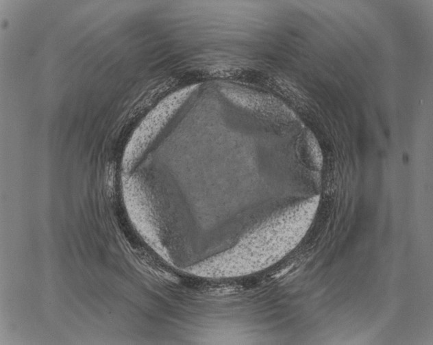 X0000062630646200601181721