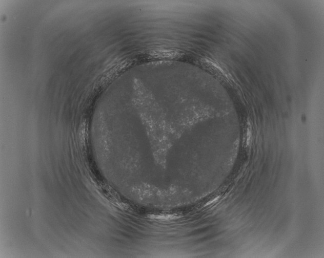 X0000062630647200601181721