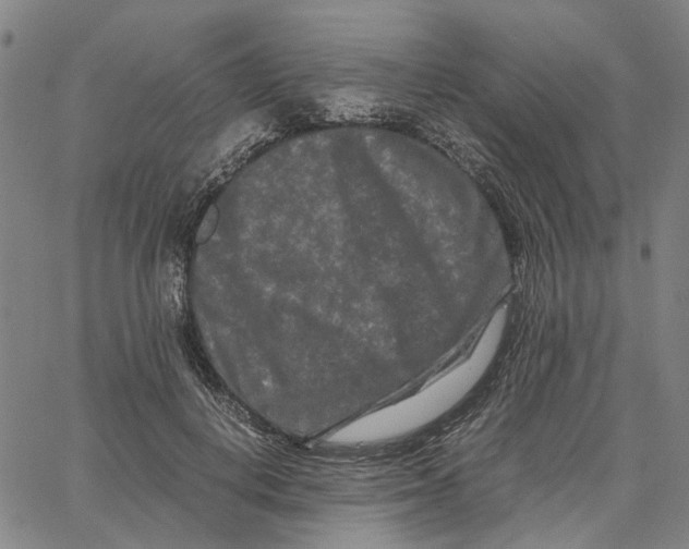 X0000062630648200601181721