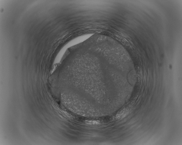 X0000062630649200601181721