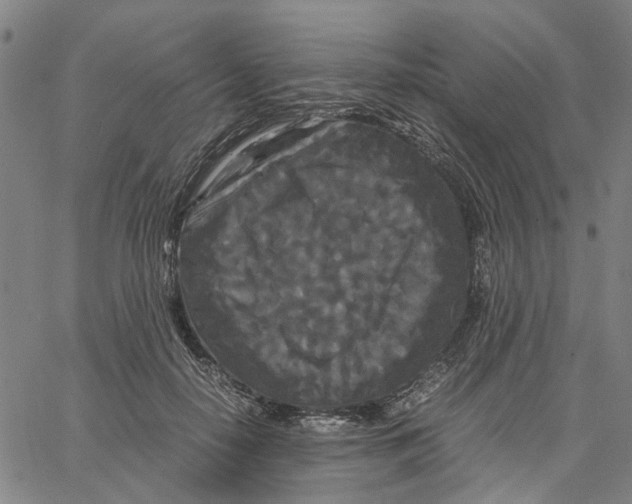 X0000062630650200601181721