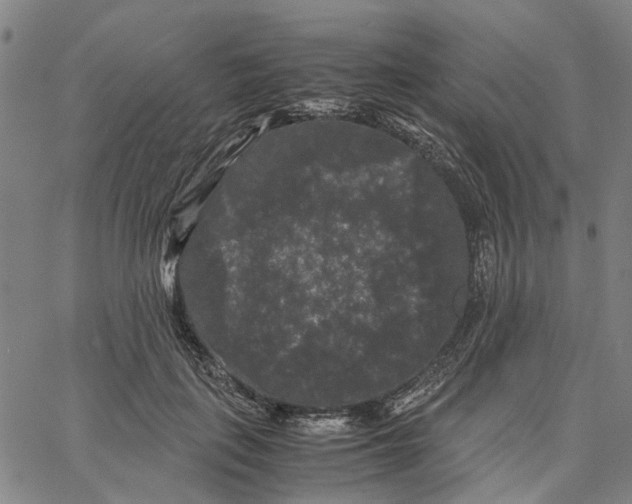 X0000062630651200601181721