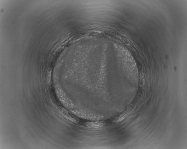 X0000062630652200601181721