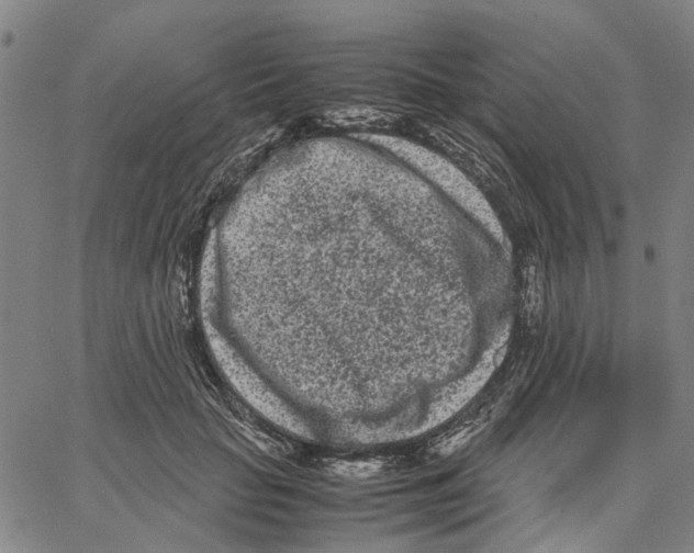 X0000062630653200601181721