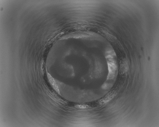 X0000062630654200601181721