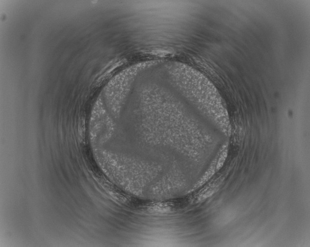 X0000062630656200601181721