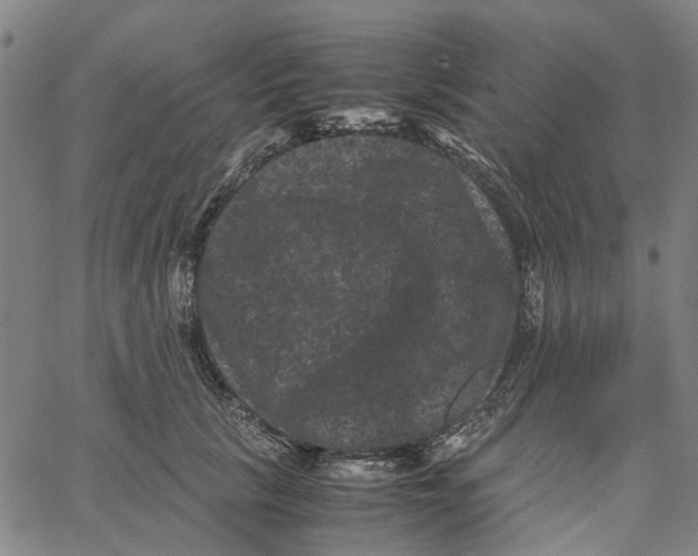 X0000062630657200601181721